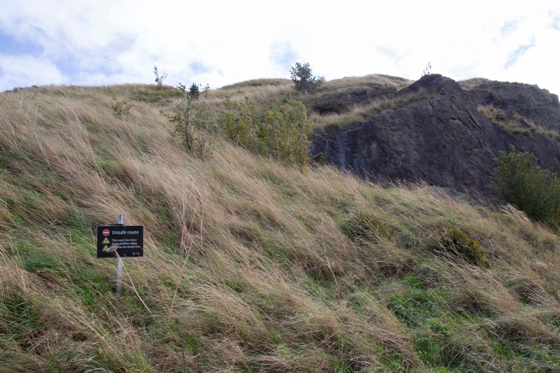Arthurs seat og vandring i byen_img_5065.JPG