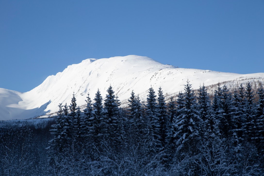 2020-03-02 Roadtrip Bodø- Bardufoss_inm_IMG_8134