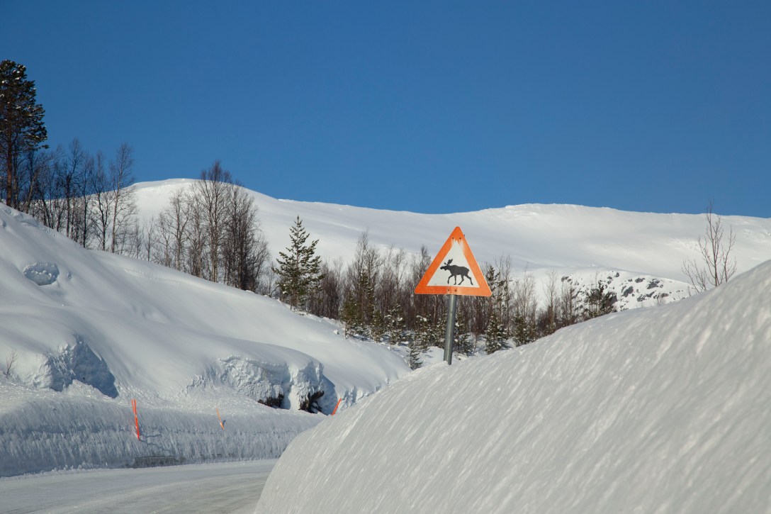 2020-03-02 Roadtrip Bodø- Bardufoss_inm_IMG_8136