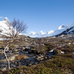 When nature is spying on you