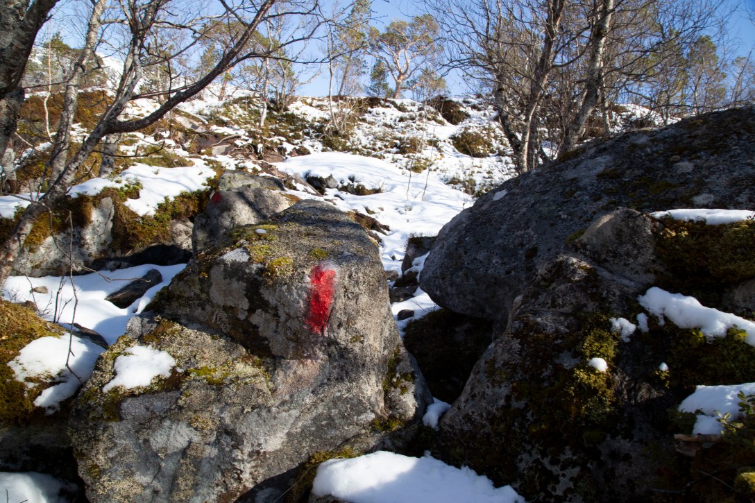 20200516inm_Nedre ÅselivatnetIMG_9036