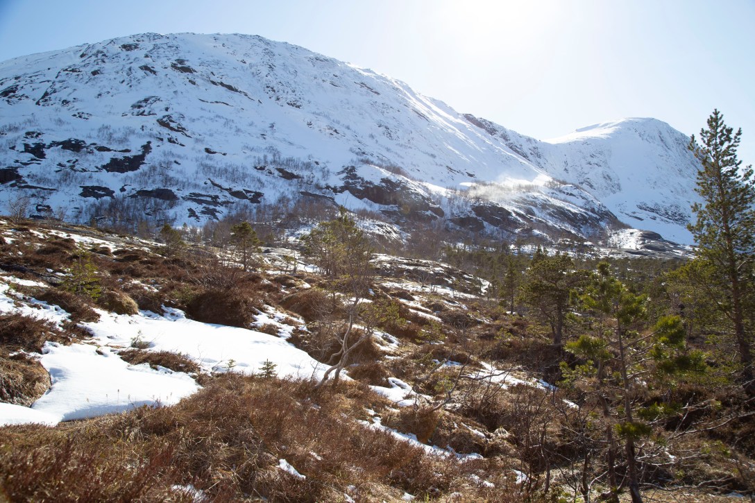 20200516inm_Nedre ÅselivatnetIMG_9066