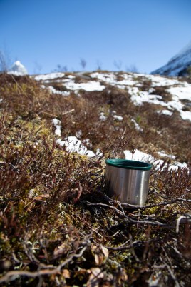 20200516inm_Nedre ÅselivatnetIMG_9069