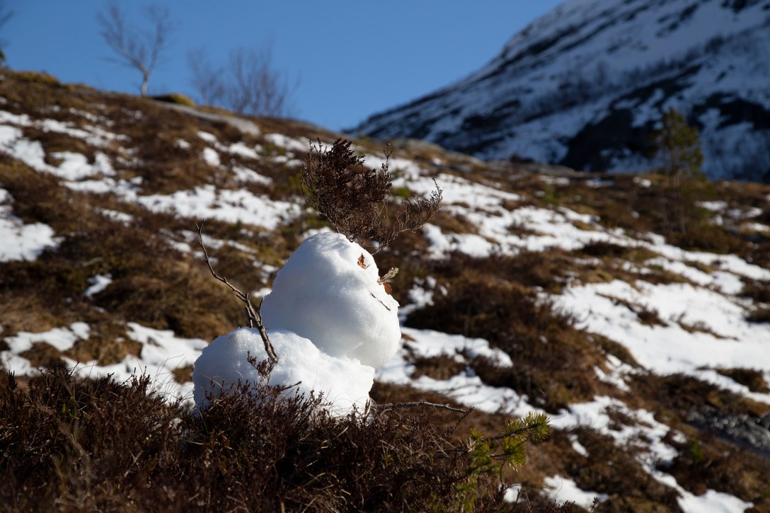 20200516inm_Nedre ÅselivatnetIMG_9101